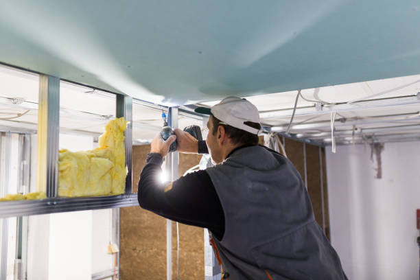 Best Insulation Maintenance and Repair in Sterling, CO